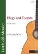 Elegy and Toccata by Michael Coe